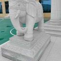 天津 白麻花岗岩动物异形石雕-大象
