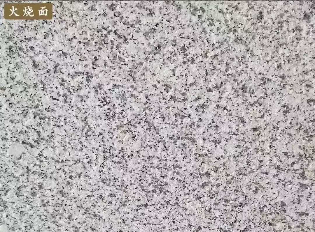 天津白麻火烧面