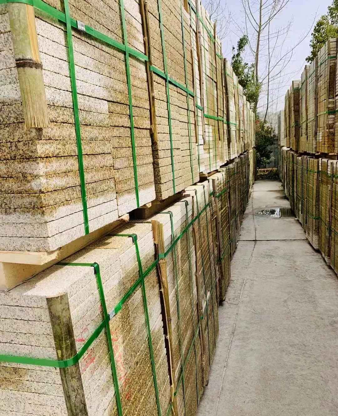 天津 黄金麻花岗岩荔枝面地铺石